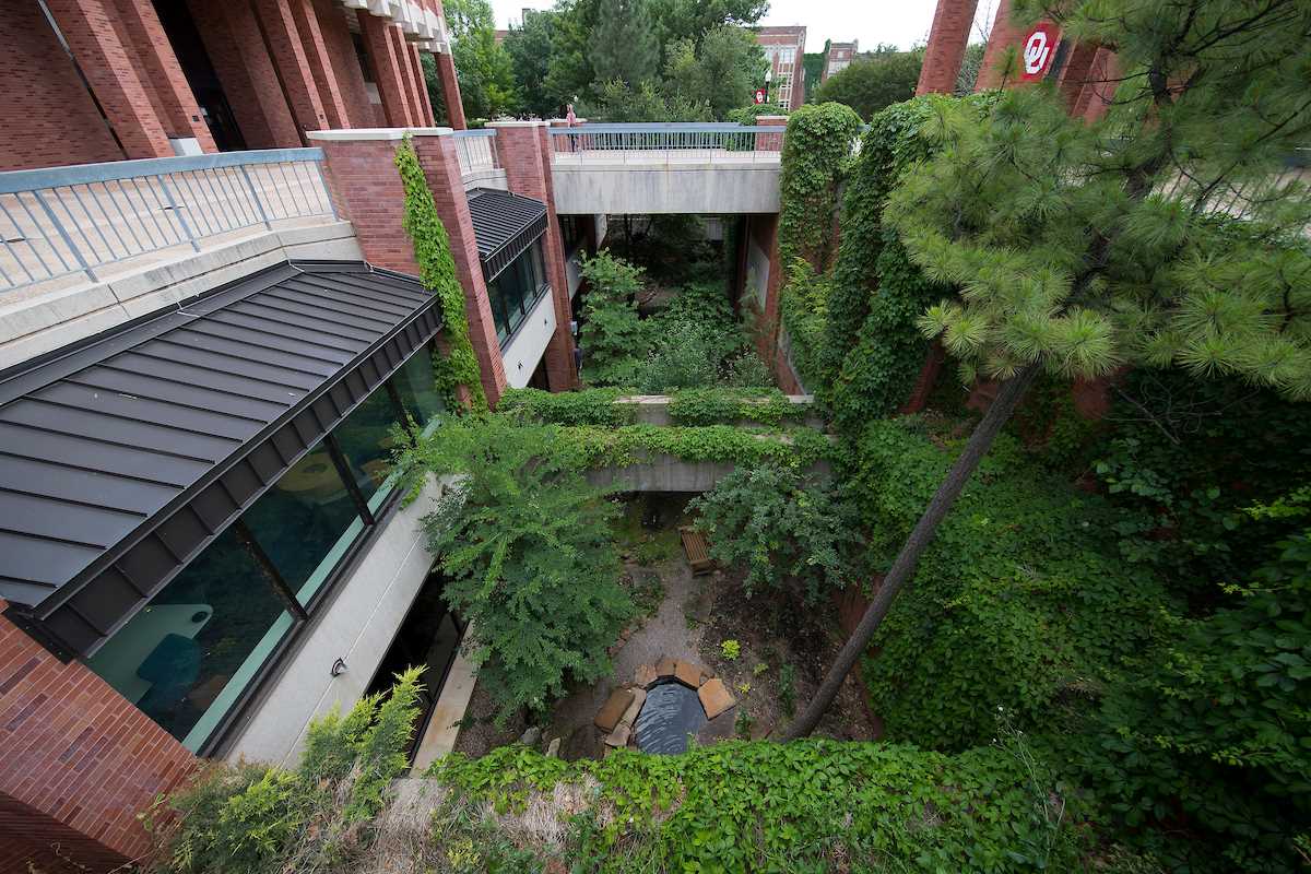A view of the Canyon Garden from the walkway between the clock tower and the west entrance of Bizzell